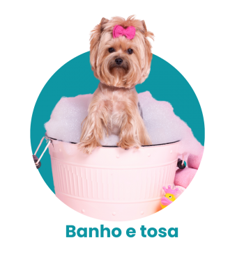 Banho e Tosa